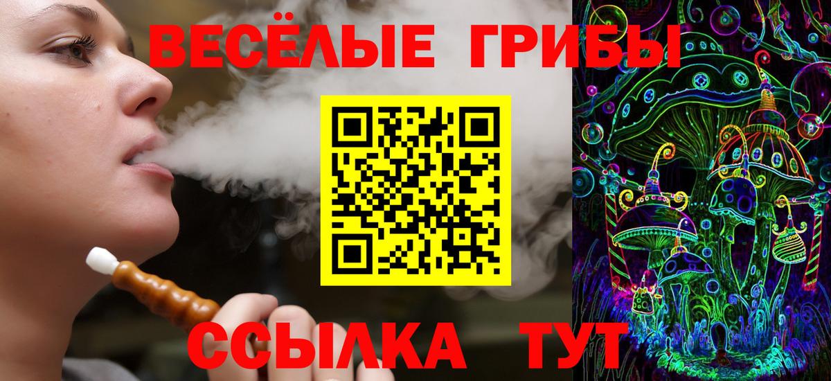 Галлюциногенные грибы GOLDEN TEACHER  Псилоцибиновые грибы прущие грибы  Дивногорск  Вход с VPN 