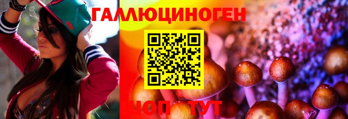 Псилоцибиновые грибы Cubensis Дивногорск